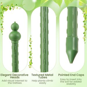 Gabbia per Pomodori da Giardino Regolabile in Altezza, Confezione da 2 - Categoria Prodotto: Recinzioni, Tralicci e Cancelli - Product Image 5