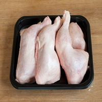Poulet entier surgelé, qualité BQF, vente en gros, volaille premium nutritive, durée de conservation de 24 mois, import-export mondial