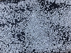 Vente en gros 100% riz cassé du Vietnam approvisionnement direct du fabricant, transformation des aliments en vrac et qualité d'alimentation animale prix compétitif - Product Image 3