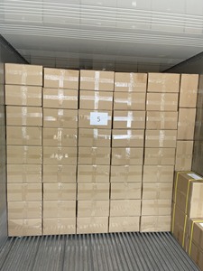 Meilleure Vente 2026 99 Gold Data Mangues Séchées Tranchées Sucrées en Sachet Sous Vide Directement de l'Usine Vietnamienne - Caryln - Product Image 5