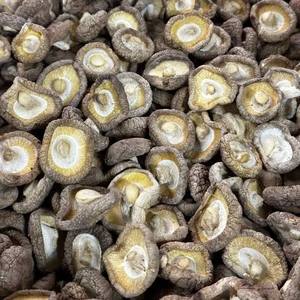 Champignons Shiitake Sauvages Séchés en Gros de Haute Qualité, Fibres Alimentaires Naturelles, Superaliment, Blue Lotus Brown, Durée de Conservation de 12 Mois, Ho Chi Minh - Product Image 4