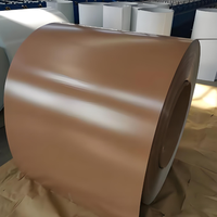 0,35mm 0,38mm 0,4mm PPGI PPGL Stahlspule/Farbbeschichtetes Zink-Wellblech/Z40 Vorlackiertes Verzinktes Stahlband