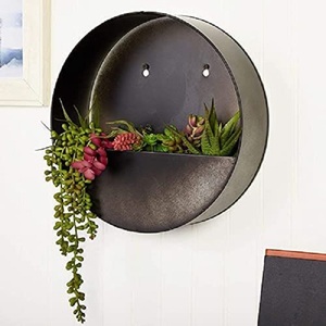Circular Stainless Steel <b>Wall</b> <b>Planter</b> Powder Coated Modern Succulent <b>Planter</b> for Indoor Outdoor and Garden Use - Product Image 1