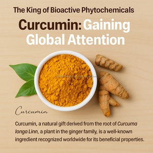 Capsules OEM coréennes de curcumine au curcuma 30ct avec absorption améliorée BioPerine antioxydant adulte - Product Image 5