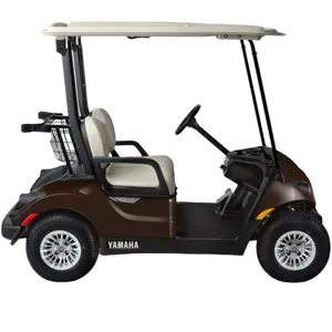 Wholesale Custom brand New Design4 wheel 2 Seats Golf Cart Electric Lithium Golf Cart FORGE-G6+2 for wholesale