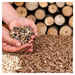 Granulés de bois de qualité supérieure, granulés de bois de qualité en promotion / granulés de bois de sapin, de pin et de hêtre en sacs de 15 kg - Product Image 5