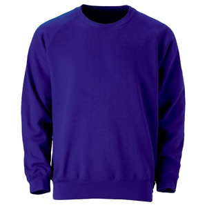 <b>Men's</b> Solid Purple Raglan Sleeve Crew Neck <b>Pullover</b> Sweatshirt 100% Cotton Knitted Regular Fit Casual Autumn Wear - Product Image 1
