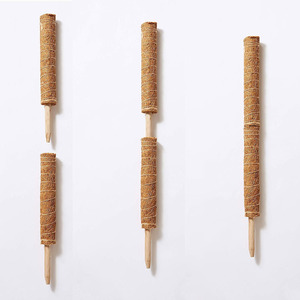 แท่งใยมะพร้าวธรรมชาติสำหรับรองรับต้นไม้ - Product Image 2