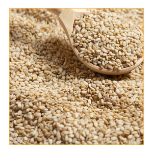 Semillas de Sésamo Blanco de Venta Caliente, Tamaño Uniforme, Alto Contenido de Aceite, Certificación FSSAI, Empaque a Granel para la Fabricación de Tahini y Pasta - Product Image 1