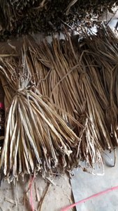 ผักตบชวาคุณภาพดีราคาถูก พร้อมส่งออกจากเวียดนาม มีแบบถักและแบบดิบให้เลือก มุมโค้ง 25 องศา - Product Image 4