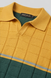 เสื้อยืดโปโลผ้าถักพรีเมียมสำหรับผู้ชาย – ลายตารางสองสี สวมใส่สบายๆ - Product Image 2