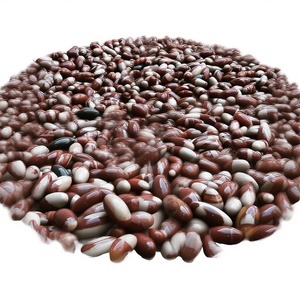 Vente en gros KAMALAGATE.COM Pierre du fleuve Narmada Shiva Lingam 1-1,5'' sculptée à la main, semi-précieuse, artisanat spirituel naturel, pas cher - Product Image 1