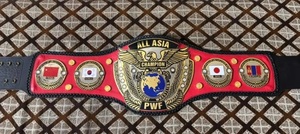 Ceinture de championnat PWF ALL ASIA MMA - Légère, en alliage de zinc, unisexe - Product Image 5