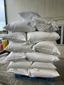 ขิงแห้งหั่นเป็นชิ้นจากเวียดนาม / ขิงแห้งหอมเข้มข้นสำหรับผู้ซื้อเครื่องเทศ (WA +84 914319488) - Product Image 3