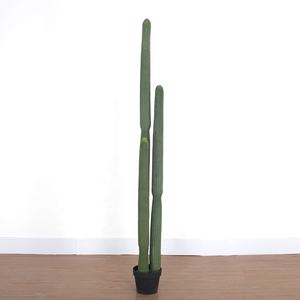 Plantes artificielles de cactus et succulentes pour la décoration intérieure, plusieurs styles disponibles - Product Image 4