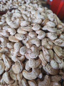 เมล็ดเม็ดมะม่วงหิมพานต์แบบธรรมชาติคั่วเค็มแบบพรีเมี่ยมใส่ขนมขบเคี้ยวส่งตรงจากเวียดนาม - Product Image 1