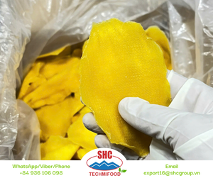 Textura masticable de Mango Seco de Vietnam de alta calidad y bocadillo saludable de sabor tropical empacado para supermercados y distribuidores - Product Image 2