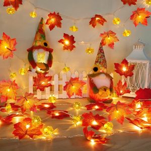 Set di 2 Ghirlande Autunnali con Luci a Forma di Zucca e Timer, Decorazioni per il Ringraziamento, Illuminazione Decorativa Autunnale per la Casa - Product Image 2