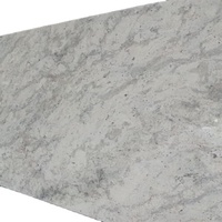 Andromeda – carreaux de granit blanc, carreaux de comptoir en granit blanc, meilleure qualité