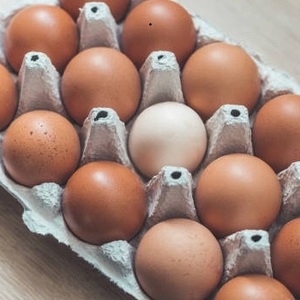 Huevos de Gallina para la Industria Hotelera y de Catering - Product Image 1