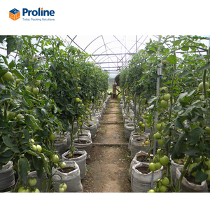 Eficaz gran doble capa PE negro película de mantillo agrícola protección de cultivos precio de fábrica - Product Image 2