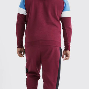 OEM ODM Wholesale Windproof 100% Cotton <b>Hooded</b> Fleece Midweight Winter Regular Sweatpants Set Men Casual Tracksuit Fitness - Product Image 5