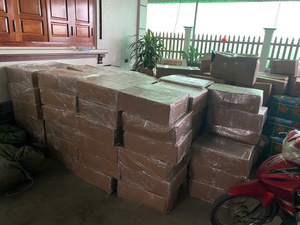 Fabricante Vietnamita de Naranjas Deshidratadas Suaves, Snack Natural de Fruta, Snack Saludable, Suministro a Granel de Fábrica, Exportación - Product Image 6