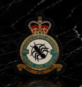 RAF-9006 Custom Embroidered Patch with Crown Eagle Design Lace Sew-On Fabric Badge Safety Pin for Garment Circular Style - Product Image 1