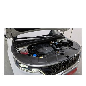 Kia Carnival Noblesse 2021 de 9 Plazas, 73,066 km, Diésel, Automático, Emisión Euro V, Volante a la Izquierda, Asientos de Cuero - Product Image 6