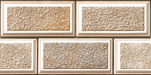 กระเบื้องเอเชียคุณภาพพรีเมียม พรีเมียมชอยส์ รุ่น Elevation ขนาด 300x600 มม. สำหรับตกแต่งผนังห้องประชุม - Product Image 3