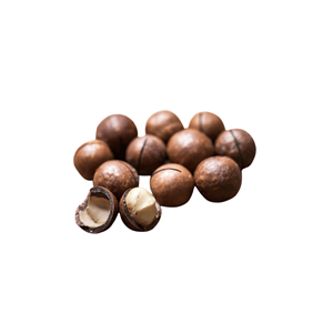 Mejor Precio, Calidad de Exportación, Fábrica en Vietnam, Deliciosas y Naturales Nueces de Macadamia Más Vendidas, Empacadas en Bolsa de 10 kg - Product Image 6