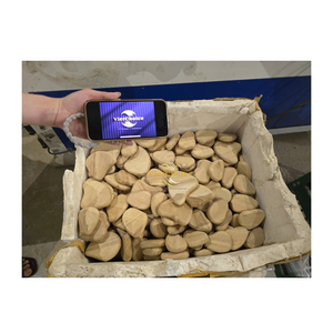 Piedras Decorativas Naturales de Madera Premium para Paisajismo del Hogar, Distribución al por Mayor - Product Image 5