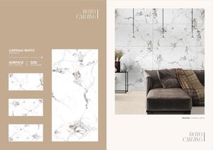 Porcelana Roto blanco lechoso 24x48 para azulejos de hogar y zapatería (S) - Product Image 5