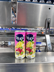 Bebida de jugo tropical de 250 ml de la marca Nonstop Production Tropi, precio al por mayor desde Vietnam. - Product Image 2