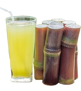 Jugo saludable de caña de azúcar congelado de alta calidad 2024 con ingredientes de azúcar Higiene alimentaria Seguridad garantizada desde la producción en línea cerrada - Product Image 1