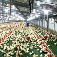 Système d'élevage au sol pour poulets de chair et reproducteurs en élevage libre, avec mangeoire à plat et ligne d'abreuvement entièrement automatique