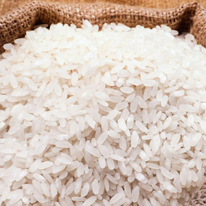 Arroz Jazmín Orgánico Seco de Alta Pureza 100%, Arroz de Grano Largo, Empacado en Bolsas de 15 kg para Venta Mundial - Product Image 1