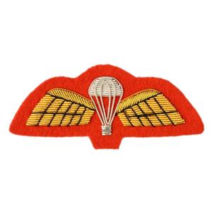 Écussons 3D personnalisés OEM de haute qualité pour grades et noms d'officiers, brodés à la main, à coudre sur blazers et chapeaux, avec motifs en forme de cœur - Product Image 1