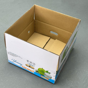 Caja de Cartón Corrugado para Exportación de Coco, Ventilada, Ecológica, Hecha con Materiales Reciclados, Impresión Offset, Embalaje para Fruta Fresca - Product Image 4