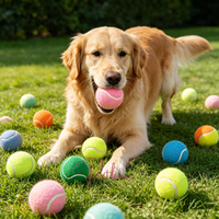 Balles de tennis pour chien avec logo personnalisé, jouets à mâcher interactifs, rebond élevé, caoutchouc naturel, 2,5 pouces, rose, lilas, menthe, couleur pastel, pour chien et animal de compagnie