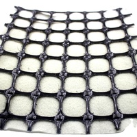 Géogrille composite en fibre de verre, géotextile non tissé, composite en fibre de verre, géogrille composite en dacron, géogrille composite