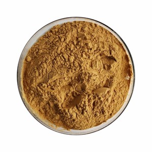 Premium Aguaje Powder 100% Pure & Natural Food Grade Aguaje Fruit Powder for Smoothies & Health Drinks at <b>Best</b> Price - Product Image 4