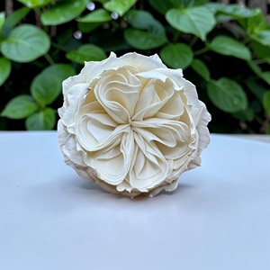 ดอกไม้โซล่าวู้ด VADEE SOLA WOOD FLOWER ทำมือ ดอกกุหลาบอังกฤษแบบยั่งยืนจากไม้โซล่าวู้ด ขนาด 8.5 ซม. ก้านใยพืชเซสบานียา ประเทศไทย VDXXX-070 - Product Image 1