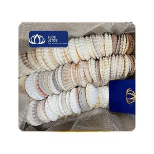 [สินค้าขายดี] วัสดุเปลือกหอยสแกลลอปแกะสลักที่ทนทาน สำหรับงานแต่งงานธีมสัตว์ ของตกแต่ง DIY งานศิลปะ โครงการงานฝีมือ บาเรีย-วุงเถา - Product Image 1