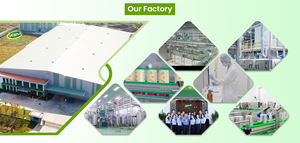 เครื่องดื่มน้ำผลไม้ธรรมชาติแท้ รับผลิตแบบ OEM น้ำผลไม้รสเสาวรสในกระป๋องอะลูมิเนียมขนาด 320 มล. เครื่องดื่มเพื่อสุขภาพสำหรับทุกวัน - Product Image 3