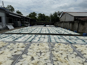 Bandes de vessie de poisson séchées de qualité supérieure, fournisseur vietnamien, meilleur prix, fruits de mer riches en protéines |   Bar/basa - Product Image 3