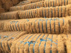Fibras de Coco Sostenibles en Pacas: Fibra Cruda Ecológica Premium para Hilado, Fabricación de Colchones y Agricultura - Product Image 2