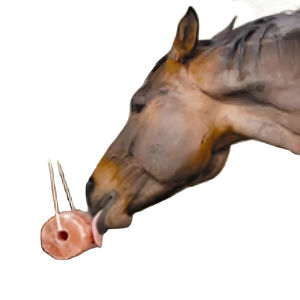 Vente en gros de pierres salées à lécher pour animaux Himalaya, en forme naturelle, de sel rose de mer, 100 pièces, 2 à 3 kg, livraison mondiale en 15 jours - Product Image 3