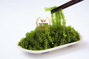 Uva Marina deshidratada de origen vietnamita (uvas marinas verdes) en bolsa con cremallera para estilo seco al por menor para comer ensaladas con ostras - Product Image 6