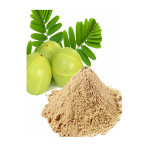 Amla Powder for Food Industry Amla Powder for Daily Nutrition Amla Powder for Functional Foods Amla Powder for Wellness Products - Product Image 5